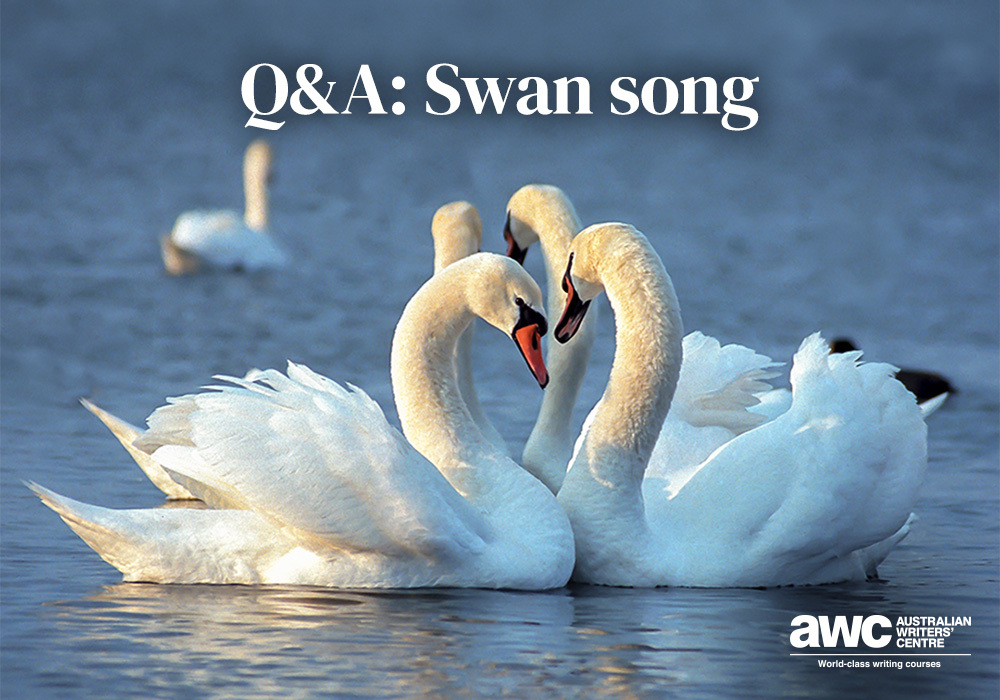 Blog Q&A_Swan song