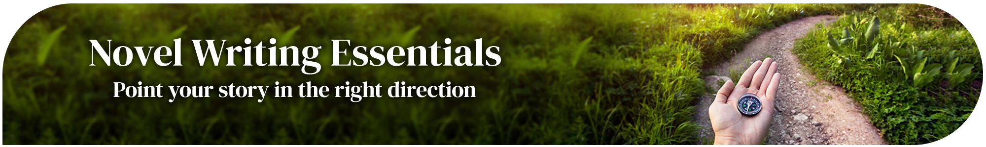 Novel Writing Essentials page banner