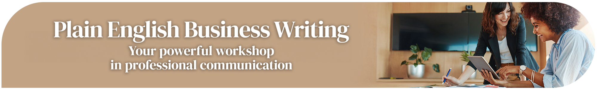 Plain English Business Writing page banner