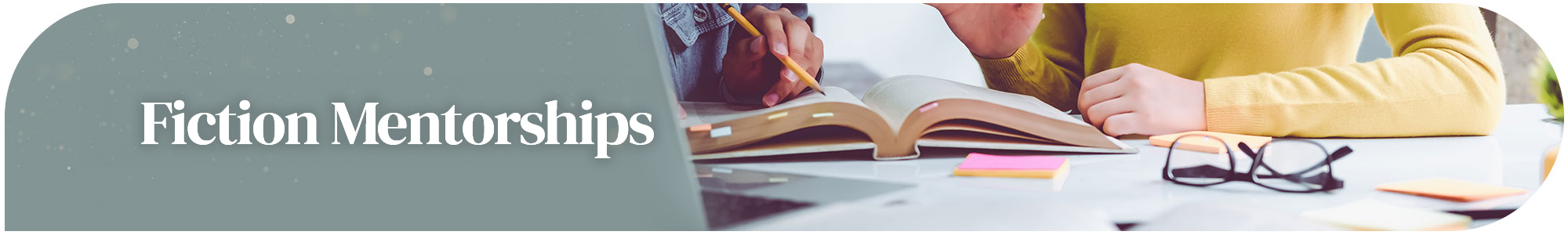 FIM-page-banner Fiction Mentorships