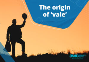 Q&A: The origin of 'vale' QA the origin of vale blog