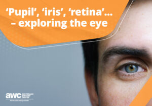 Q&A: 'Pupil', 'iris', 'retina'... – exploring the eye Blog QA 20240327