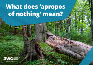 Q&A: What does “apropos of nothing” mean? Blog QA 20240620