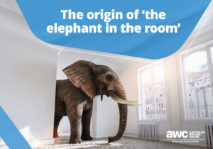 Q&A: The origin of ‘the elephant in the room’ Blog QA 20250529